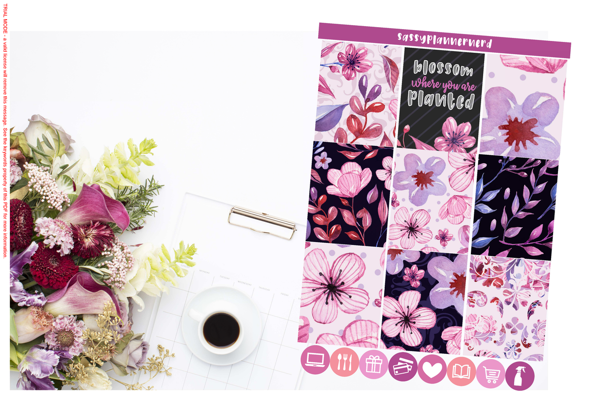 Bloom | Weekly kit | FULL KIT