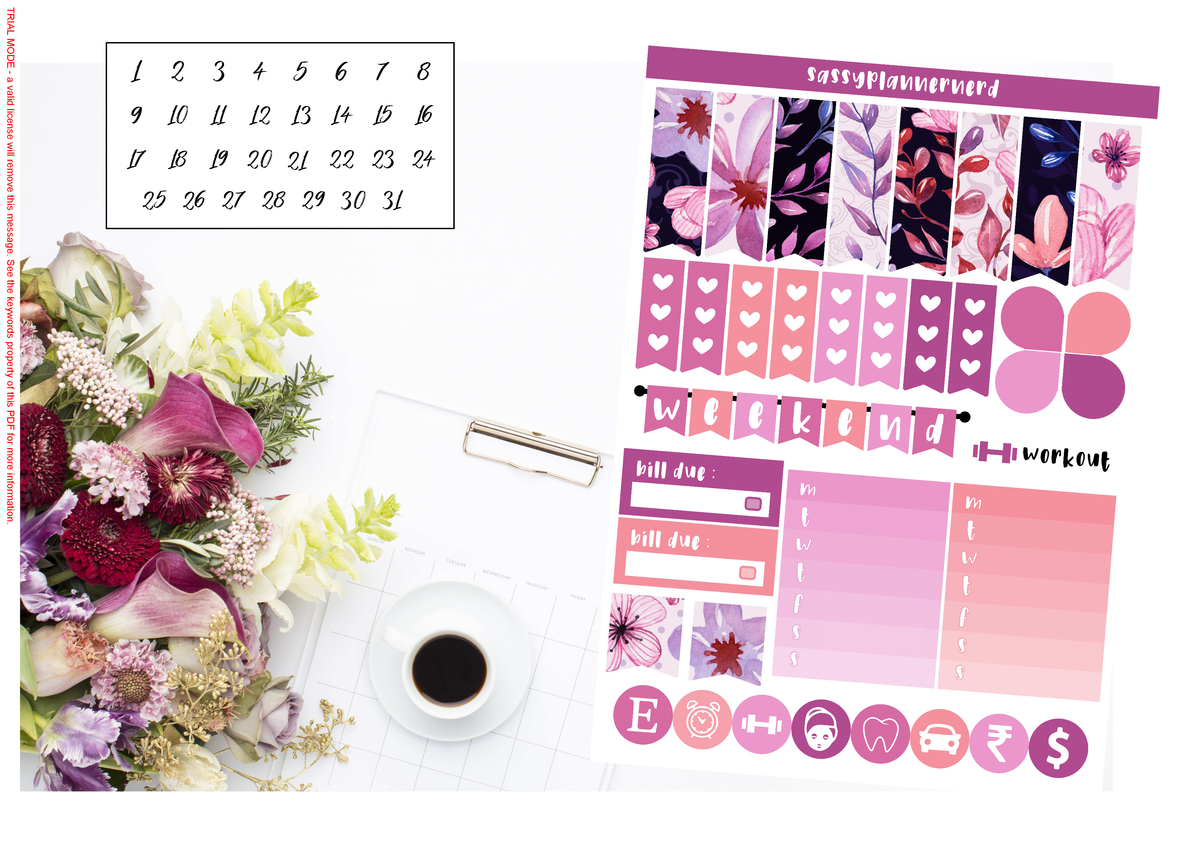 Bloom | Weekly kit | FULL KIT